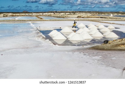 Salty Sal - Cape Verde