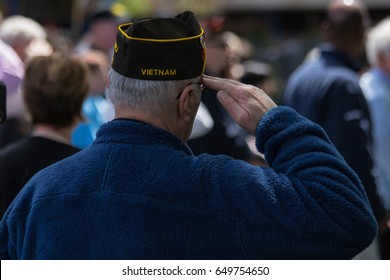 Salute Of A Vietnam War Veteran 