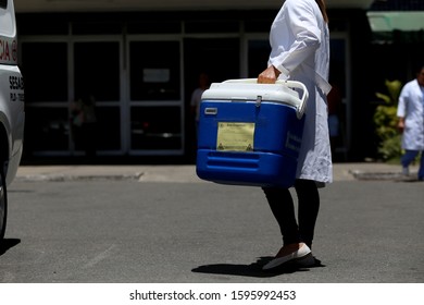 SALVADOR, BAHIA / BARAZIL - November 7, 2018: Transplant Center Employee Is Seen Carrying A Human Organ Transport Box Near Roberto Santos Hospital In Salvador. 

