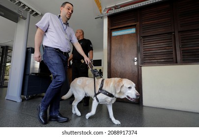 Salvador, Bahia, Brazil - March 20, 2019: Visually Impaired Uses A Guide Dog To Get Around In Their Work Activities In The City Of Salvador.