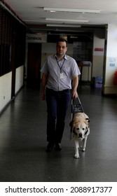 Salvador, Bahia, Brazil - March 20, 2019: Visually Impaired Uses A Guide Dog To Get Around In Their Work Activities In The City Of Salvador.