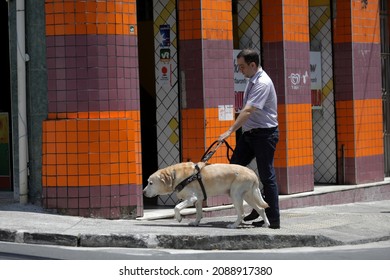 Salvador, Bahia, Brazil - March 20, 2019: Visually Impaired Uses A Guide Dog To Get Around In Their Work Activities In The City Of Salvador.