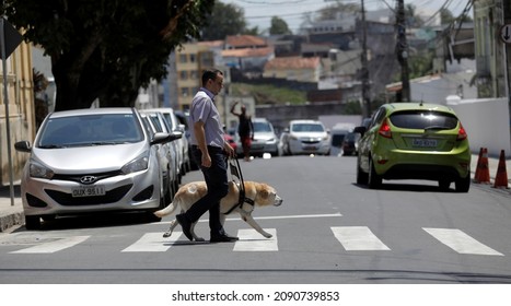 Salvador, Bahia, Brazil - March 20, 2019: Visually Impaired Uses A Guide Dog To Get Around In Their Work Activities In The City Of Salvador.