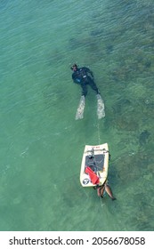 SALVADOR, BAHIA, BRAZIL: OCTOBER 9, 2021: A Fishing Diver In Emerald Exotic Paradise Bay