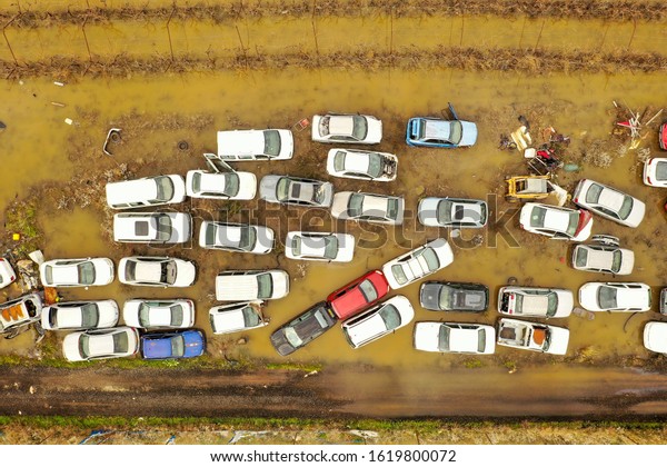 Salvage Car lot in a flooded field, Top down\
aerial view.\
