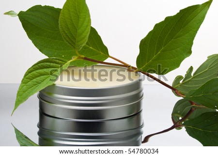 Salve container