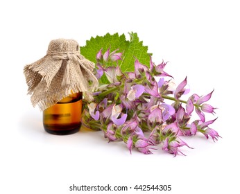 1,650 Salvia drink Images, Stock Photos & Vectors | Shutterstock