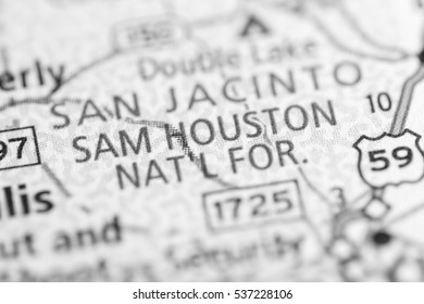 Sam Houston National Forest. Texas. USA