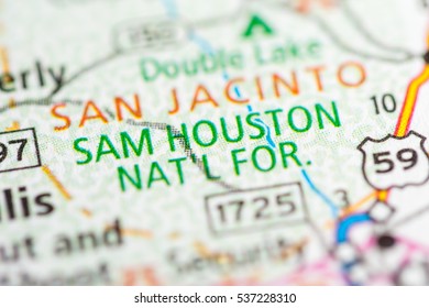 Sam Houston National Forest. Texas. USA