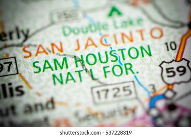 Sam Houston National Forest. Texas. USA