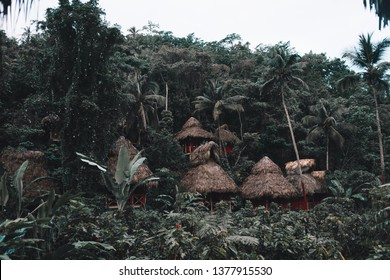 Samara Dominican Republic Treehouse Jungle