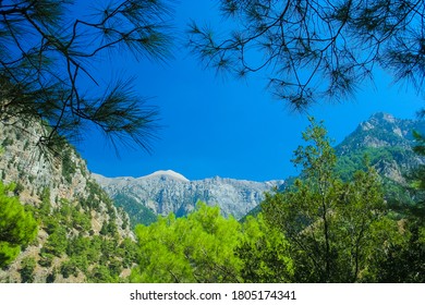 Samaria Gorge In Crete, Greece