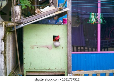 Samarinda, Indonesia - December 23, 2020: Chicken Coop Beside The House. A Chicken Head Looked Out Of The Small Window.