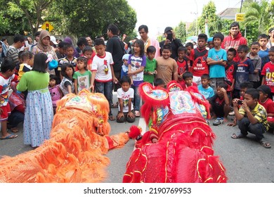 Samarinda, July 11, 2014. Red Barongsai Performance During The Yearly Chinese Festival On The Street City Act