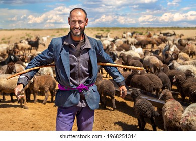 SAMARKAND, UZBEKISTAN - MAY 29, 2018: Uzbek shepherd with his herd of sheep in the background in the outskirts of Samarkand, Uzbekistan