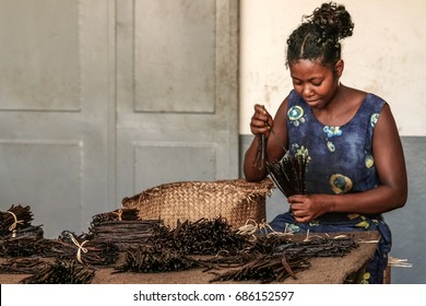 Sambava, Madagascar, Jan 12 : Malagasy worker manufacturing vanilla in an unidentified craft workshop near Sambava, Madagascar on January 12, 2017