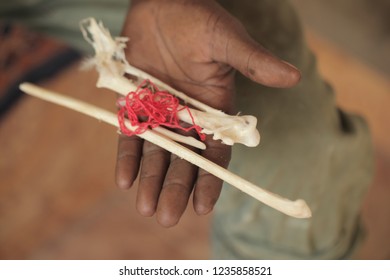 Sambouya Village, The Gambia, Africa, October 20th, 2018: Horizontal Photo Of Black Male Hand Close Up Holding An Ancient Vulture Bones And Red String - Traditional African Medicine Close Up