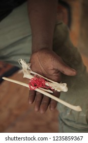 Sambouya Village, The Gambia, Africa, October 20th, 2018:vertical Photo Of Black Male Hand Close Up Holding An Ancient Vulture Bones And Red String - Traditional African Medicine Close Up Outdoors