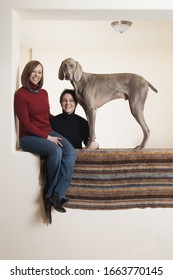 A Same Sex Couple, Two Women Posing With Their Weimaraner Pedigree Dog.