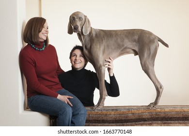 A Same Sex Couple, Two Women Posing With Their Weimaraner Pedigree Dog.