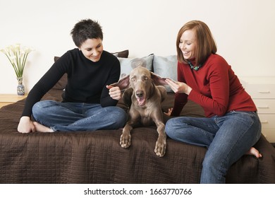 A Same Sex Couple, Two Women Posing With Their Weimeranar Pedigree Dog Between Them.