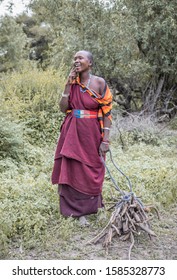 Same, Tanzania, 11th June 2019: Maasai Woman On A Mobile Phone While Collecting Firewood