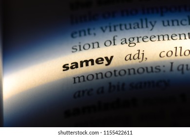 samey word in a dictionary. samey concept.