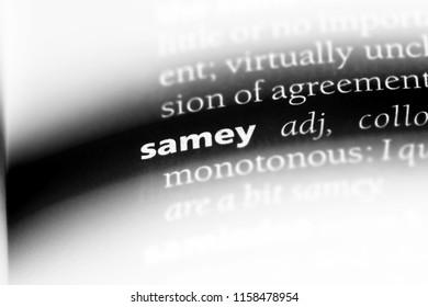 samey word in a dictionary. samey concept.