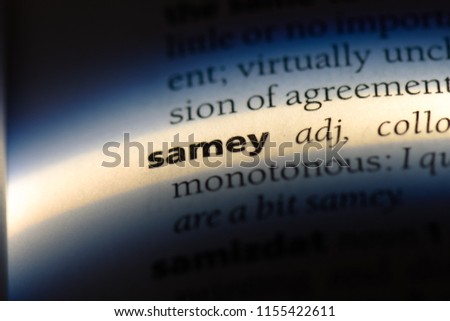samey word in a dictionary. samey concept.