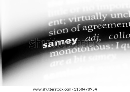 samey word in a dictionary. samey concept.