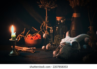 Samhain night. Witchs altar with goats skull, burning candle, dry herbs and magic vessels in the dark, low key, selective focus. Halloween, rite, voodoo, occultism, alchemy, spell, paganism concept - Shutterstock ID 2207858353
