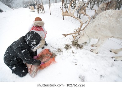 Sami Child.Tromso Lapland