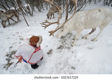 Sami Child.Tromso Lapland