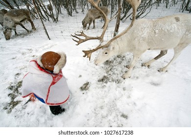 Sami Child.Tromso Lapland