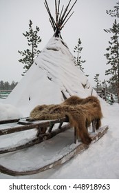 Sami Tent, Sledges And Bearskin