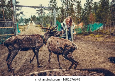 Sami Village, Sam-Syyt / Russia - August 6 2019: A Girl In Sami Clothes Stands Next To A Reindeer And Feeds Them