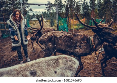 Sami Village, Sam-Syyt / Russia - August 6 2019: A Girl In Sami Clothes Stands Next To A Reindeer And Feeds Them