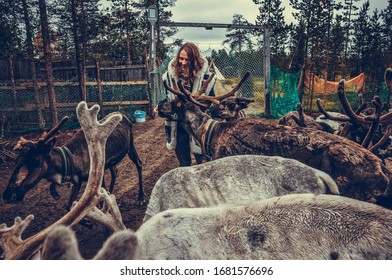 Sami Village, Sam-Syyt / Russia - August 6 2019: A Girl In Sami Clothes Stands Next To A Reindeer And Feeds Them