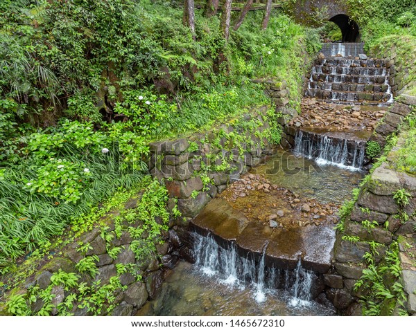 Samll Step Waterway Alishan National Forest Stock Photo Edit Now 1465672310