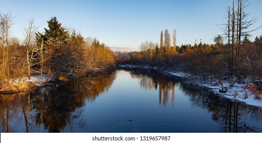 Sammamish River With A Duck 