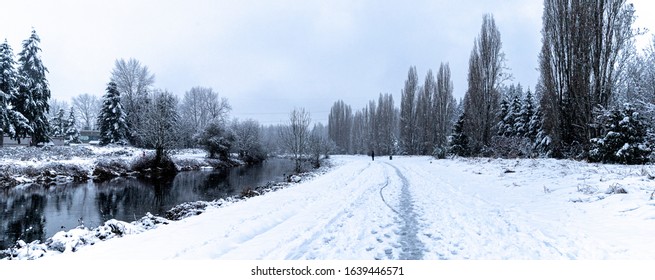 Sammamish River Trail In Redmond