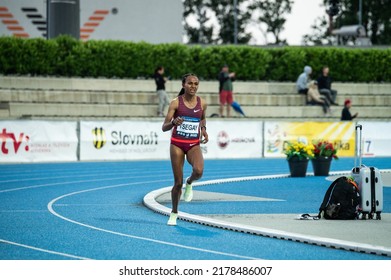 SAMORIN, SLOVAKIA, JUNE 9, 2022: Gudaf Tsegay. Long Distance Female Runner From Ethiopia Running On Blue Athletics Track. Race Before World Championship. 5000m Race.