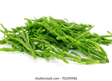 Samphire