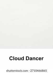 Sample of Cloud Dancer color of 2026 year, off-white colour