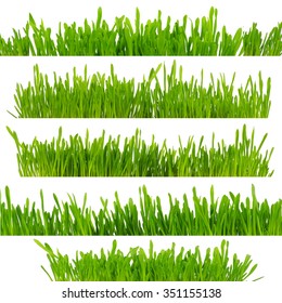 sample of green grass borders isolated on white background - Shutterstock ID 351155138