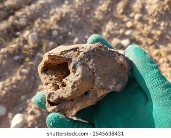 A sample of limonite, a type of iron ore, found in the ground, field photo. Kaluga region, Russia