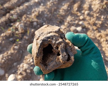 A sample of limonite, a type of iron ore, found in the ground, field photo. Kaluga region, Russia