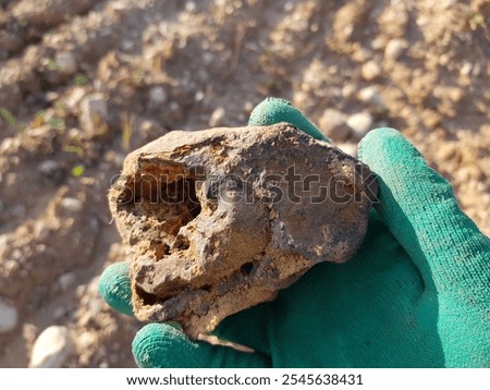 A sample of limonite, a type of iron ore, found in the ground, field photo. Kaluga region, Russia