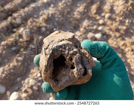 A sample of limonite, a type of iron ore, found in the ground, field photo. Kaluga region, Russia
