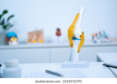 A Sample or model of knee or joint with copy space to explain about osteoarthritis, orthopedics or knee or joint problem. Concept of health care of senior, doctor is explain of symptoms and treatment. - Powered by Shutterstock